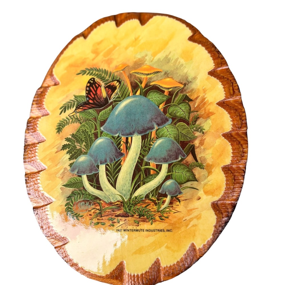 Vintage 1987 Wintermute Industries Mushroom Frog Butterfly Wood Wall Plaques Set
